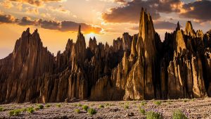 7ef82309291143671b214eb817cd4142