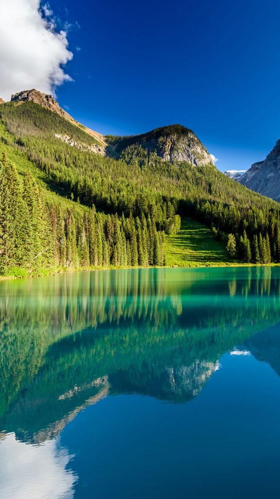 8f56a81ff4b20bb57c7f4701fd4f1705