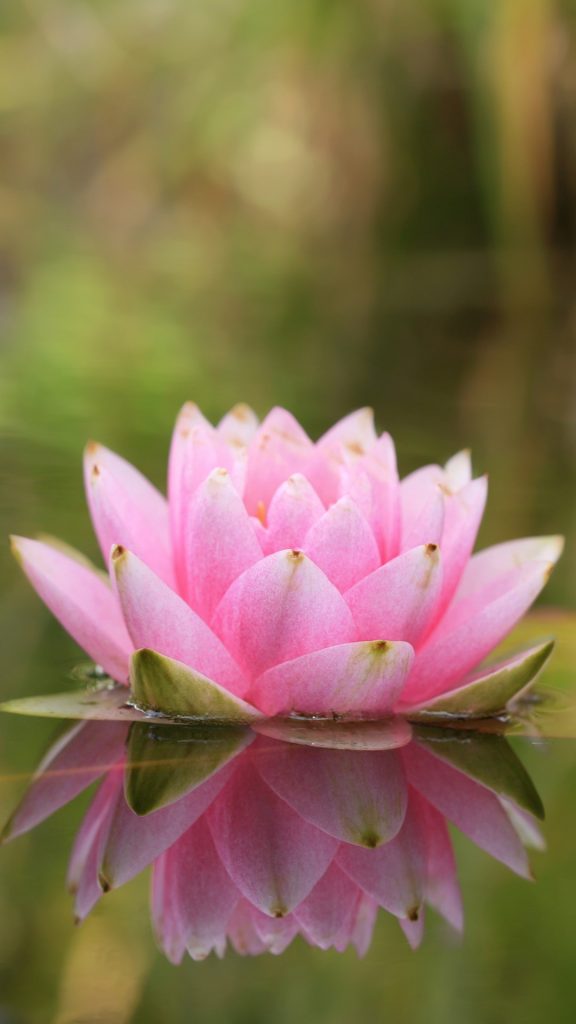 9033f7c794e821173d92aaf93cf0ff4c