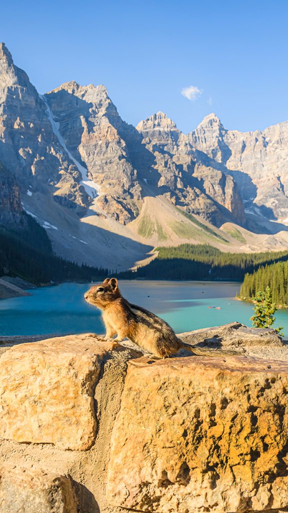 9a2a683a172ce8e5ceefac8276033e4d