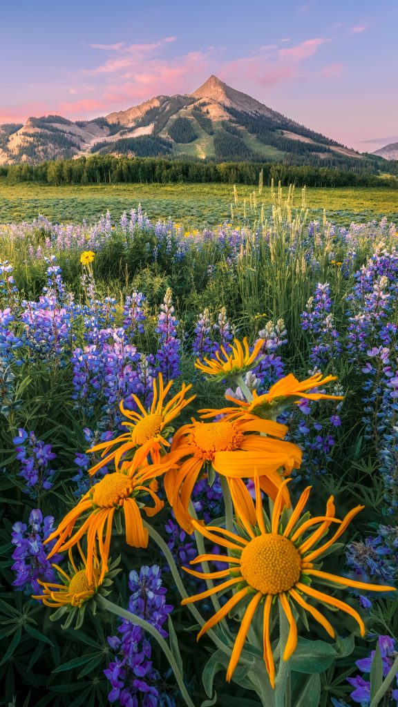 a20885a7de6fd42b65552d166cb8a130