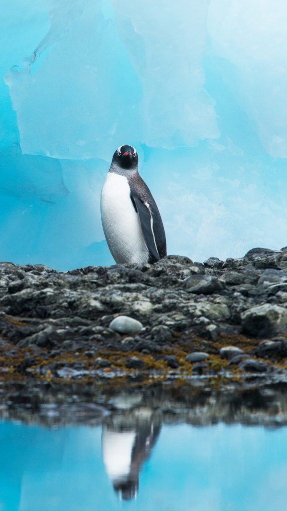 a2fe19753253b771bb546523f93d0e9f