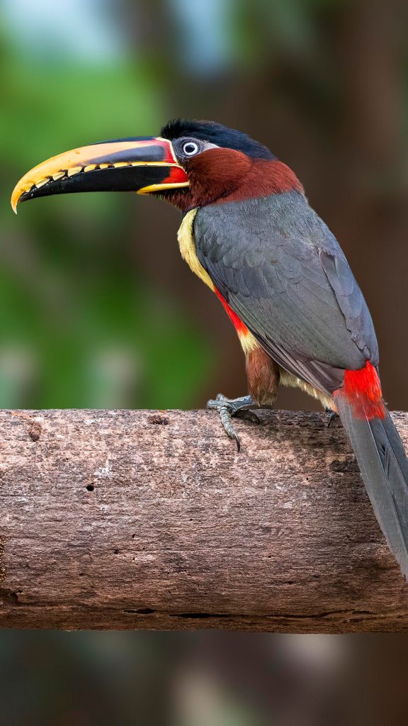 b9040c99913678d4be50670afd7aa0f6