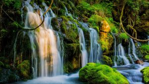 bad64490732ea72c7be7d2bf2b825fb2