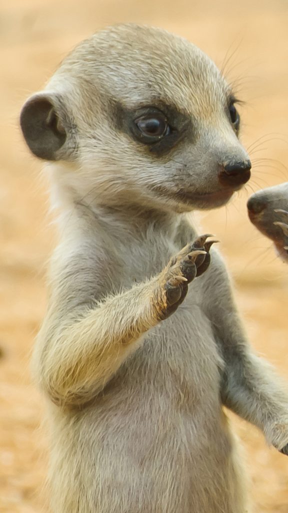 c188991b9963b6315e5f1b2446bcc3c2