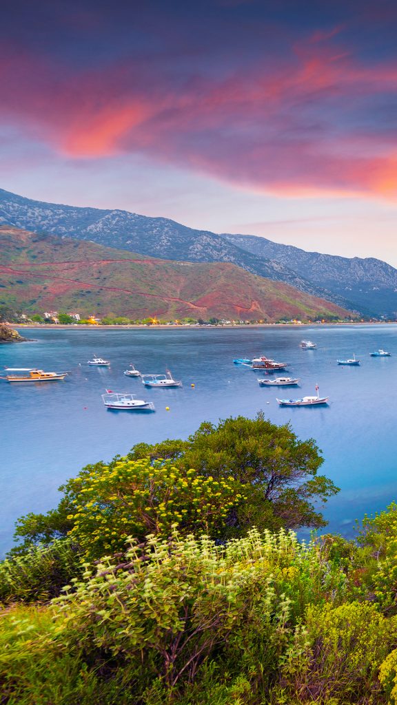 c420b491f19e6359733a7c712738b7f6