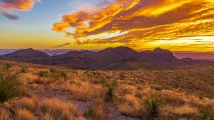 Morning view of rugged desert landscape of Big Bend National Park, Texas, USA d6e0f8ca9057c360102bace1b7b34d63