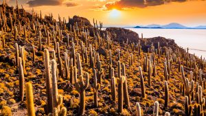 d7ec48dacc31e5840d7c19e15424abbf