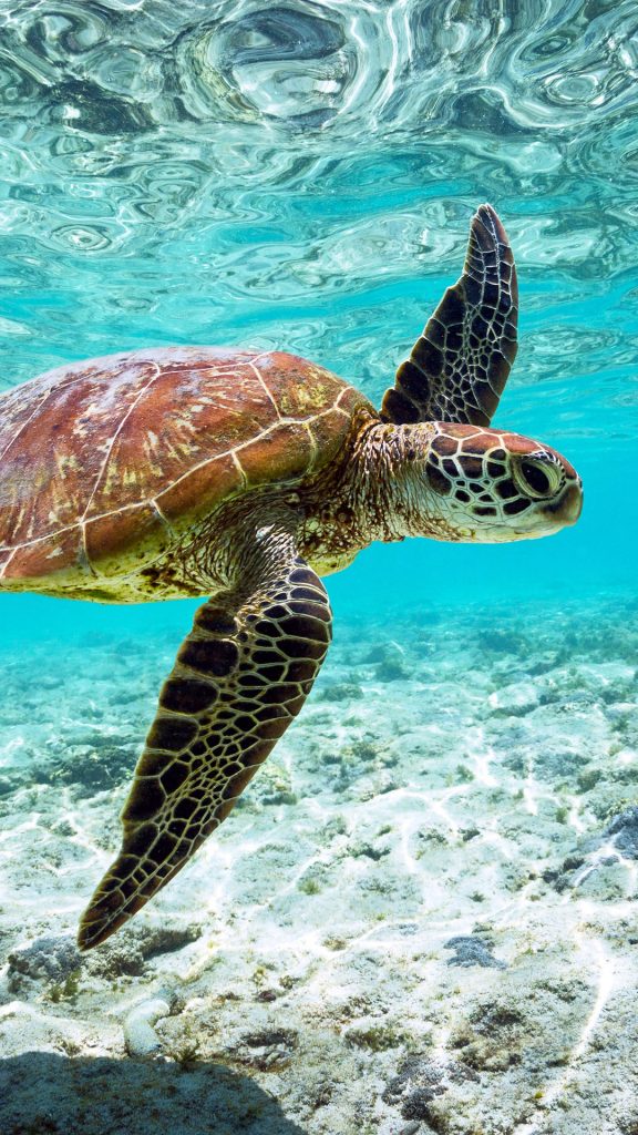 daf4e320cb47a3e295714d9e6e34c9c4