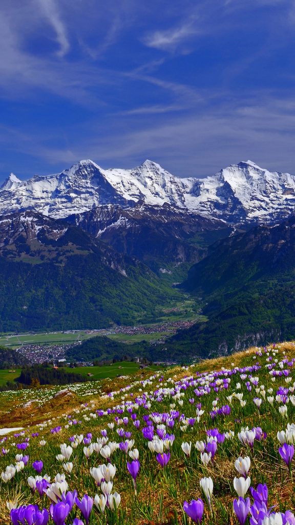 e2286a8a60bdb4ab8ffef97e107bc4ac e2286a8a60bdb4ab8ffef97e107bc4ac