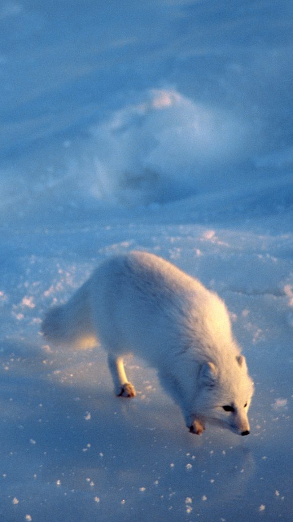 f3972c5872d0e20cd41adf50016a10a7