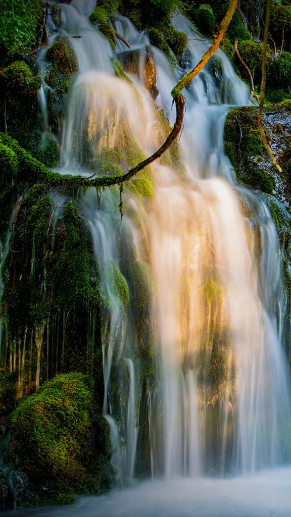 fc5ebeeb21533cbcfd635c739e4294f3 fc5ebeeb21533cbcfd635c739e4294f3