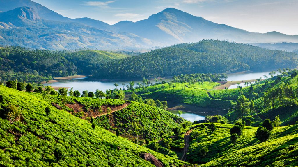 Tea plantations and Muthirappuzhayar River in hills near Munnar, Kerala, India