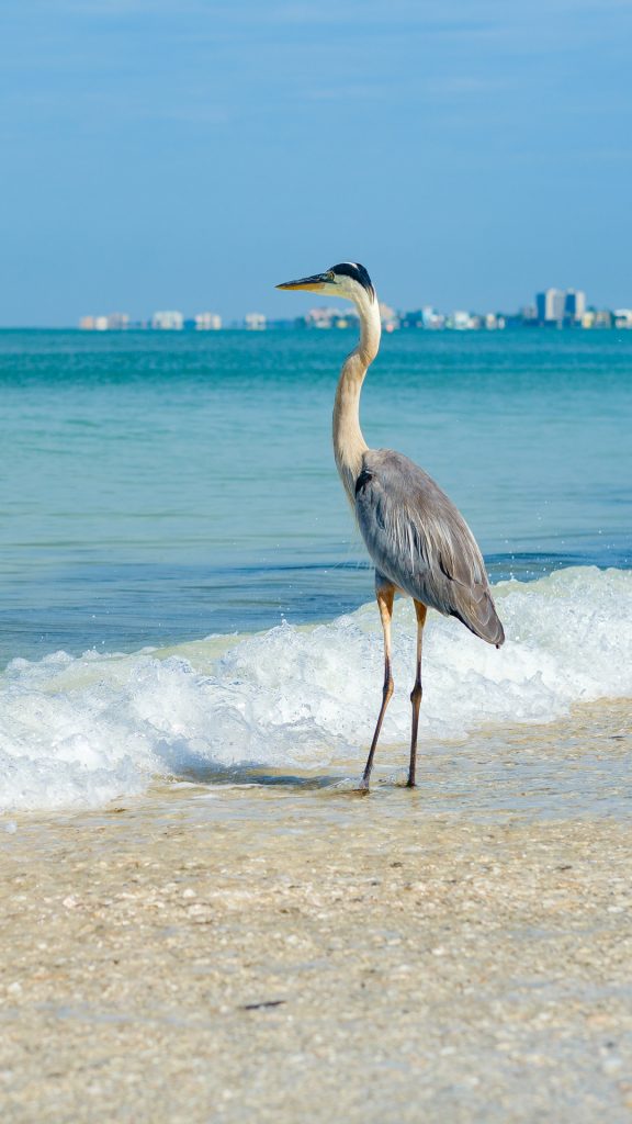 25bc11cfd4f81d8d56ec6dc61791fb0f