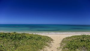 2888bf2eb402dd8b46360accc9dcf87a