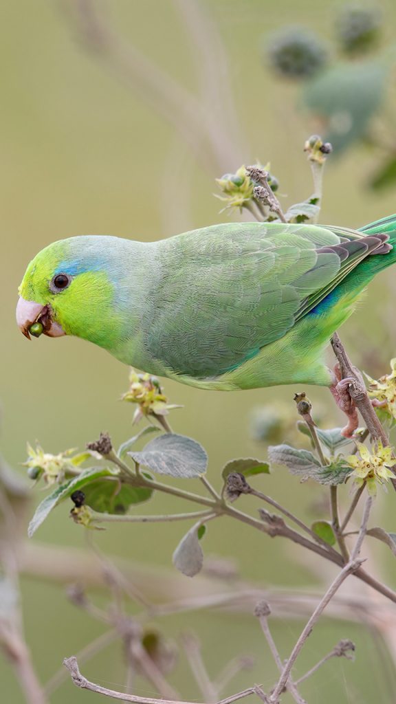 3186b9fa9ec209e912f63e480fb6e97f 3186b9fa9ec209e912f63e480fb6e97f