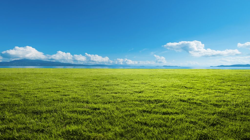 Grassland background, USA Grassland background, USA