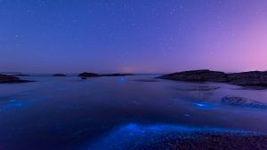 Fluorescent beach at Yellow Sea, Dalian, Liaoning, China 84c1c07005c7114262e6102fd00e42c1