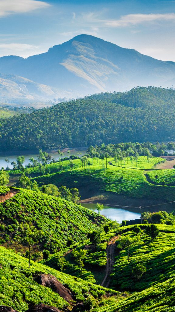 8dd9748b3f30f093c55b99a817a1826e