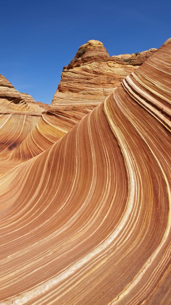 8ea755d613a874e80dd8c8040270c192