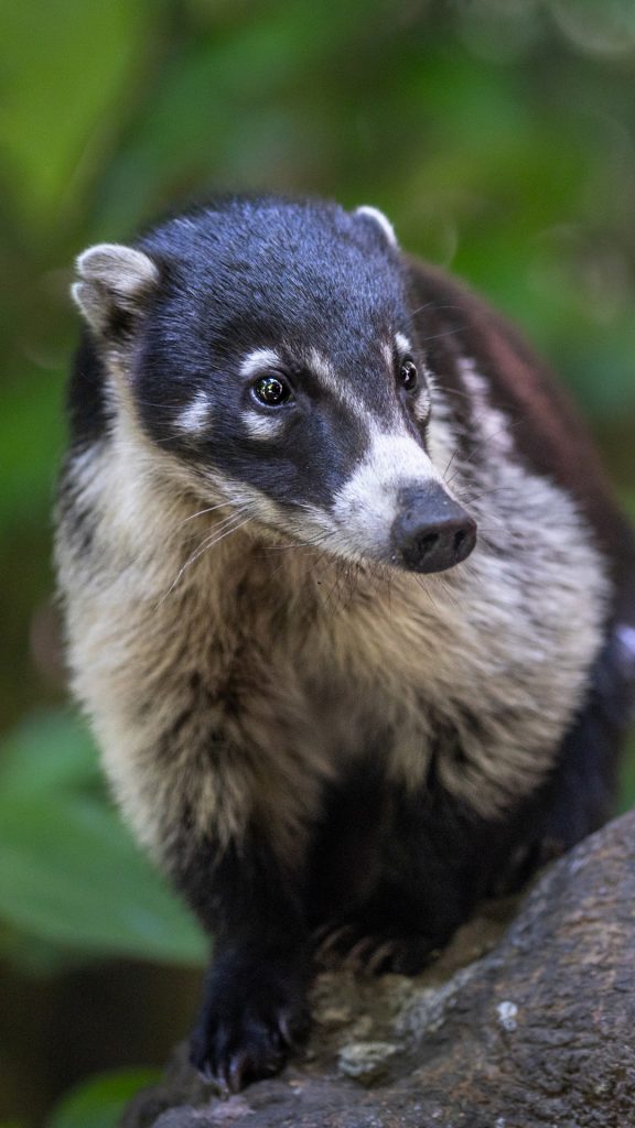 94225f6fbbc59b84ef6fbfd6b7f32e66