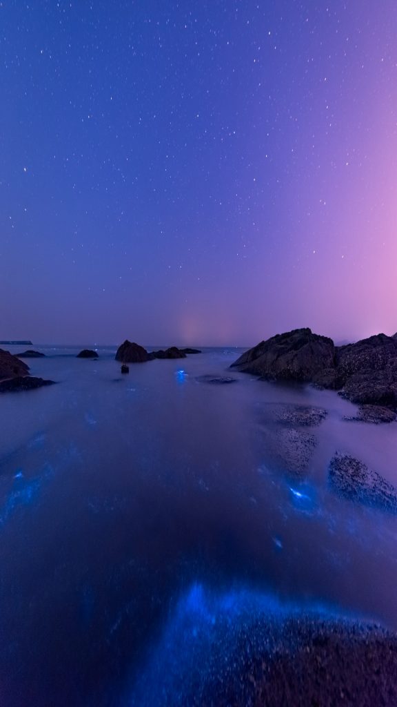 a3d014eca7f69ec760f59bc08c22b3c2 a3d014eca7f69ec760f59bc08c22b3c2