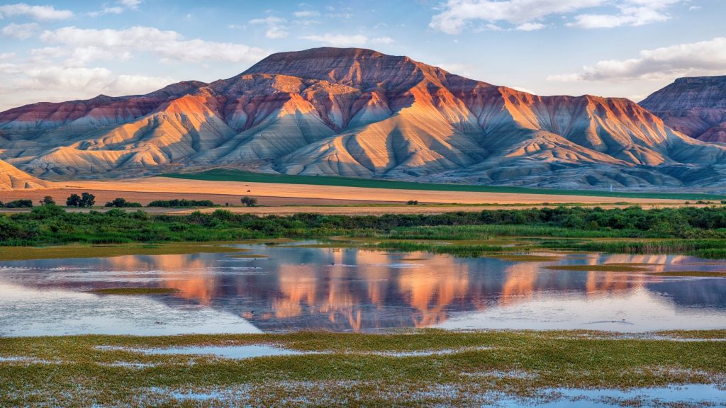 afdbff335205f27236453a6aa7bcec37