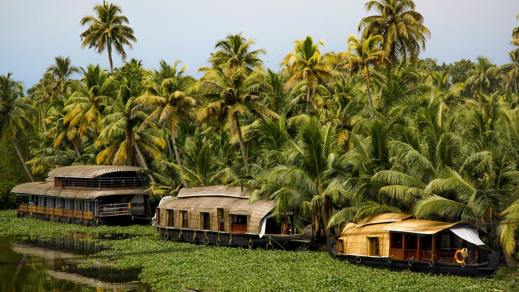 Houseboats on Vembanad Lake, Kerala backwaters, India