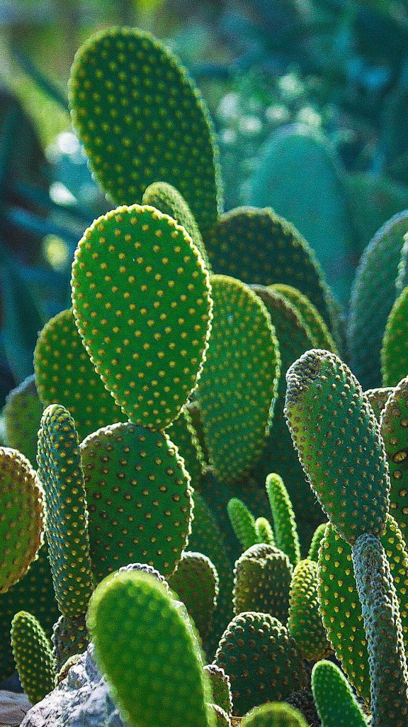 e5175d24c5c758338b865d4c691a0cd0