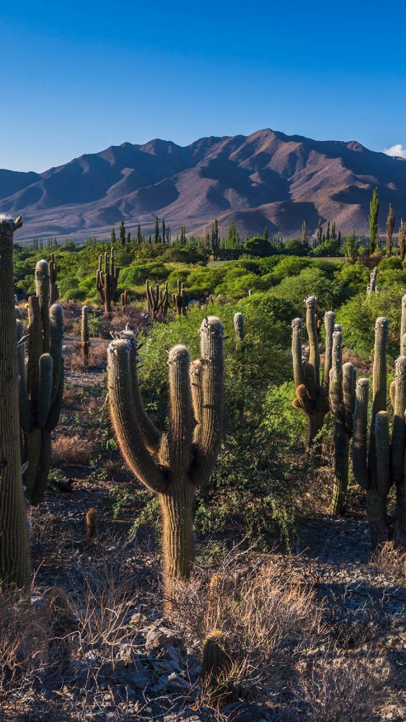 01a96110509c6d7699937a4837e00405 01a96110509c6d7699937a4837e00405