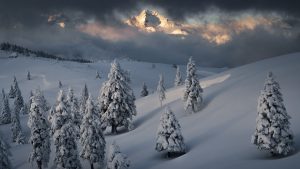 Winter landscape illuminated by sunset light, Big Pasture Plateau (Velika planina), Slovenia 1a7b3e5782b659ea56cdef95f216ab2b