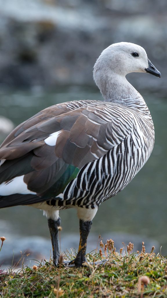 275bfca311b9d0e8606ce292c4ac1da0