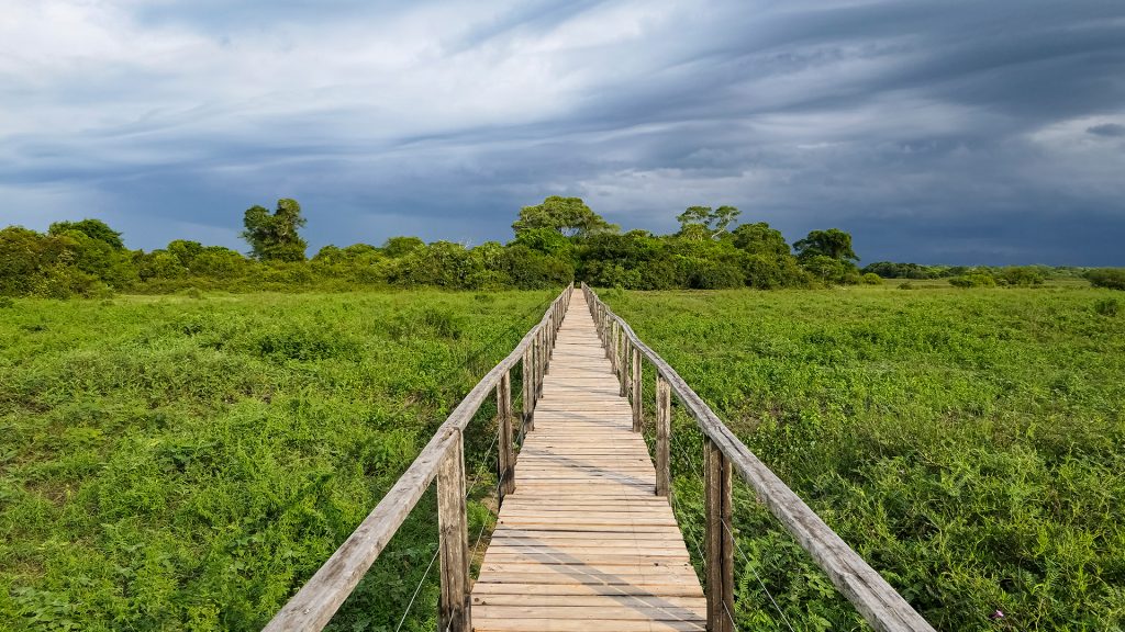 30f4cd644c065ab610dcd728c60f3dd8