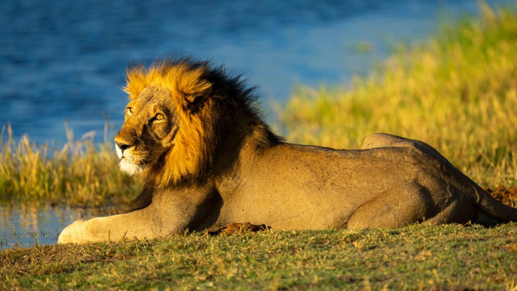 38a3da5c07ff650cf2f5fbdeb9f033a9