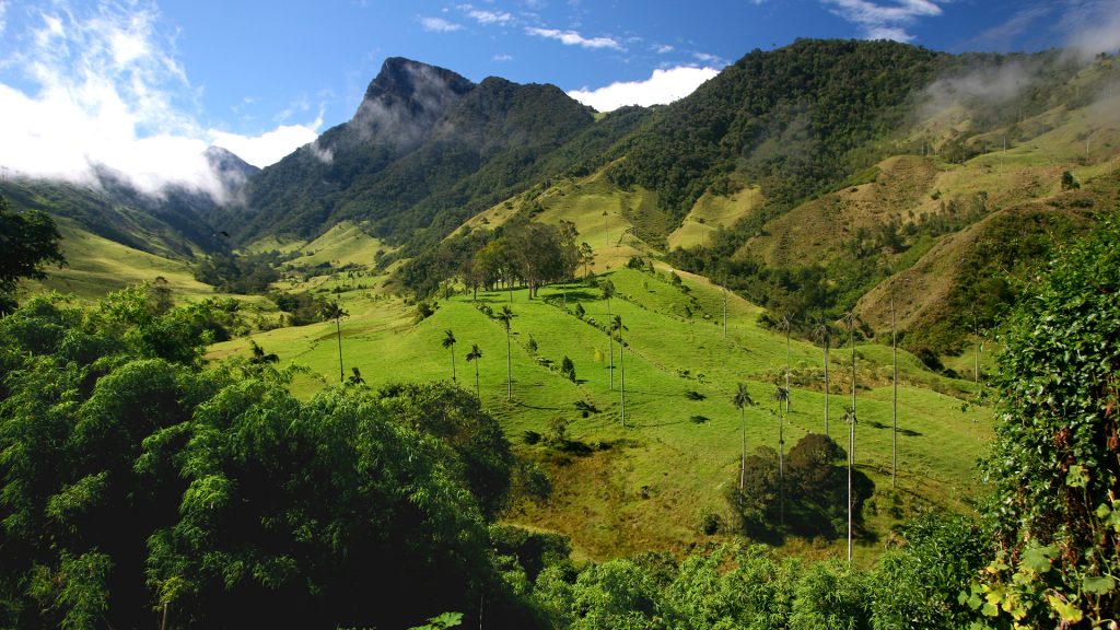 3ffa93cdde919dfab608c51e39951a58