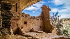 5de8f25524c63fc605f0a25eb7c0d5ea