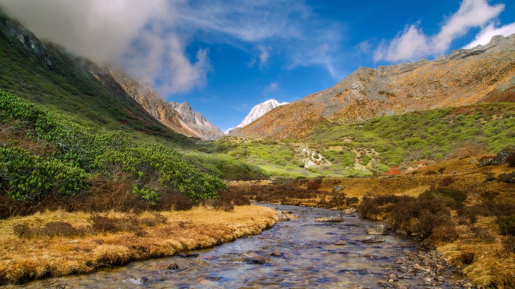 855644a63694d915b8ff0ab81ed59721