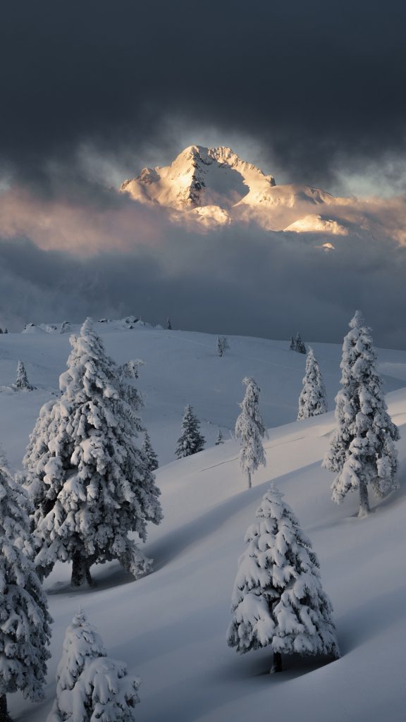 8b28b962ee3cbd287fa7823d73a9d511