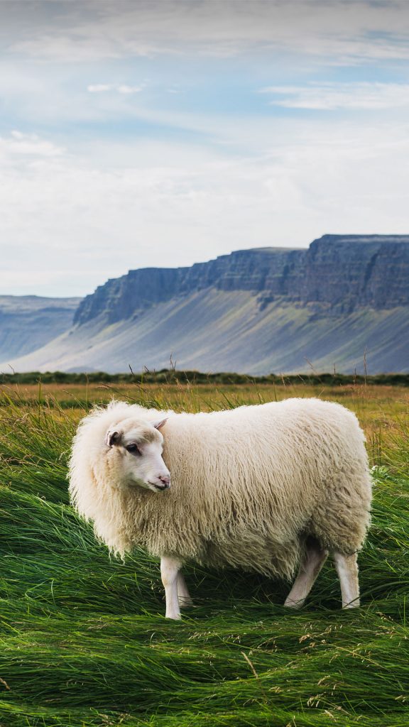 c0eb53ab10d69a961e2e0b1b02311421 c0eb53ab10d69a961e2e0b1b02311421