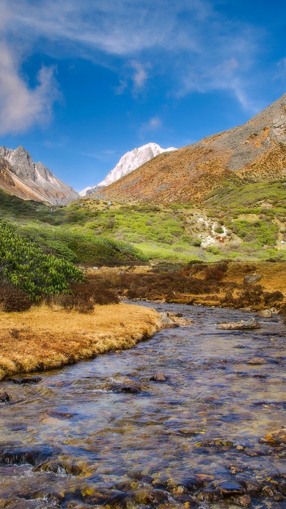 ccc9d4fd272a0203ec8f98a2b838139f