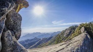 d23b2ade8e1dfe633925c8b21aba7094