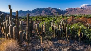 e359d721fd41838fbbca743d03ef7200