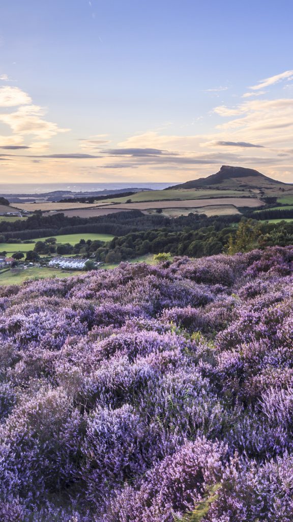 fd2d3a00c11881d99aab5f484d88a47f