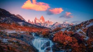 fff785824cb843ba8d05df440afaea18