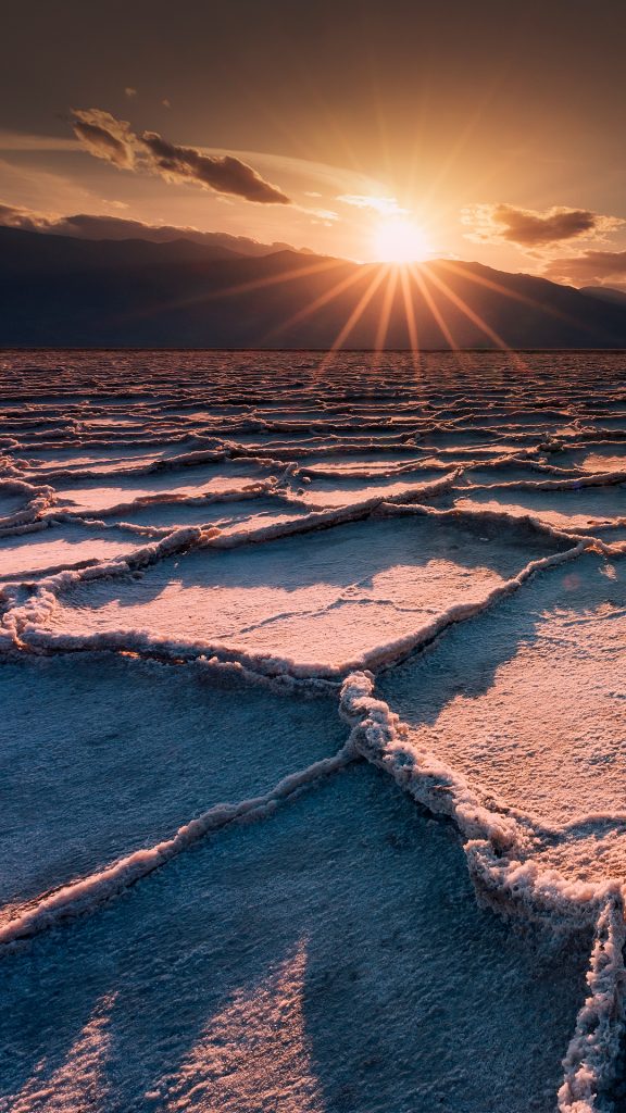 09fa0140e900cb0133f7c3b76335681b