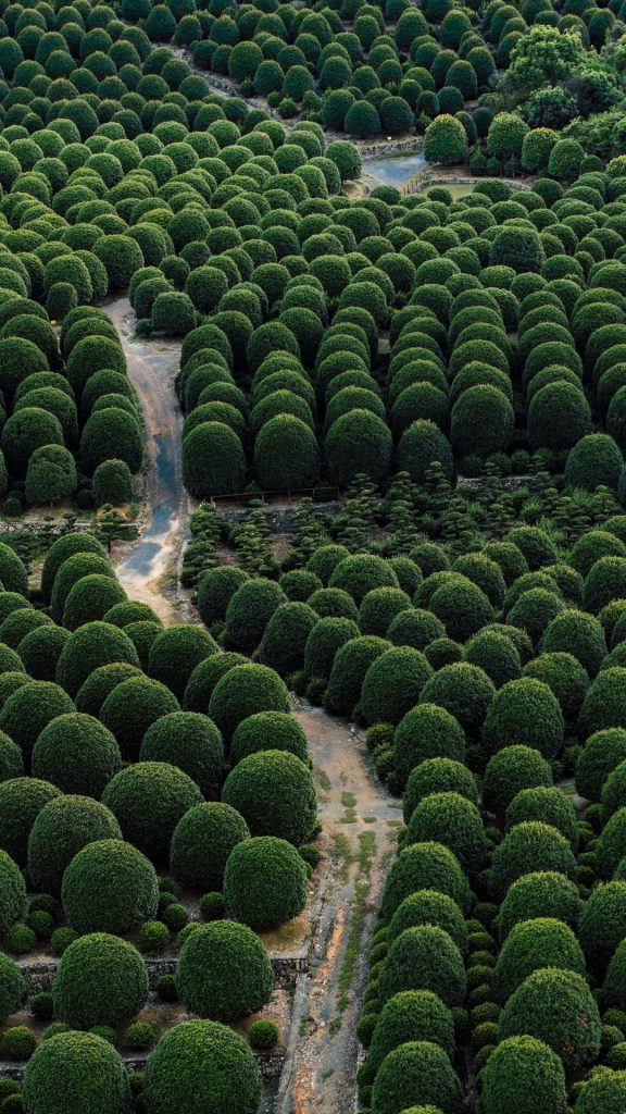 170cd1a8ea61a500bb21dfc4ce5a1573