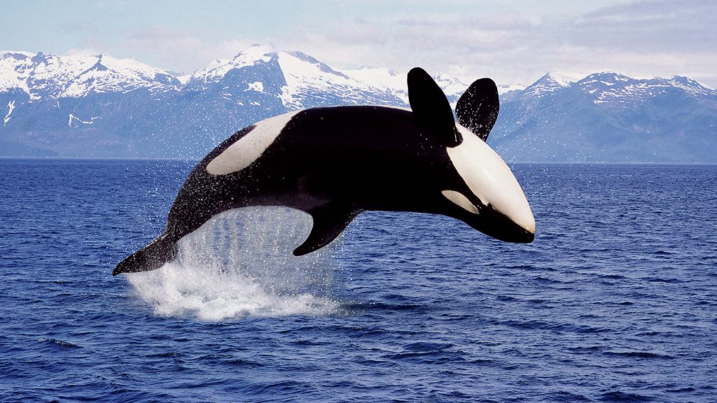 189b9b99b3674cbf8ba673a65f9bab77