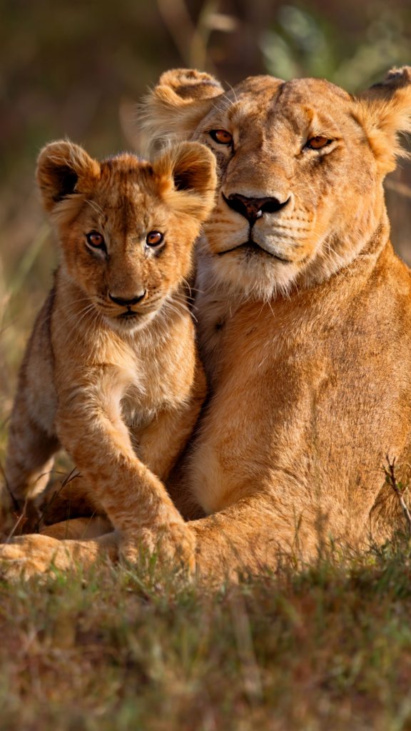 191f489bdc8cadb7cf39bcce18e01b39