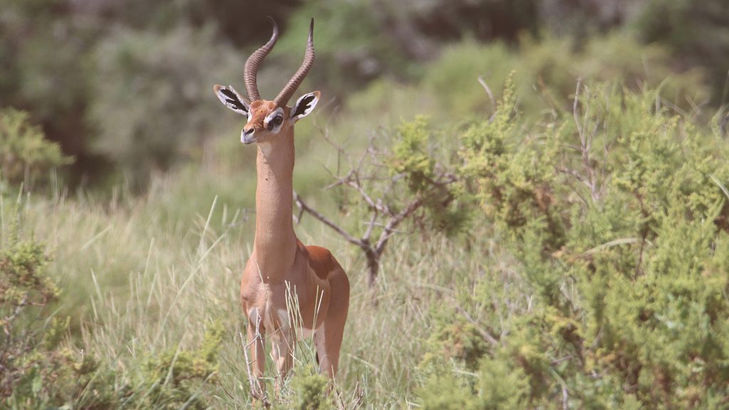 1d12d7443bd7a4c5bc9c0c1119a95834