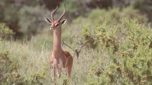 1d12d7443bd7a4c5bc9c0c1119a95834